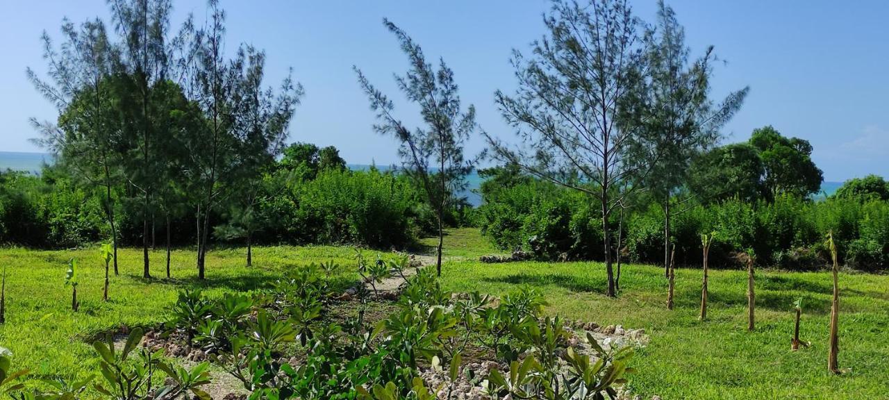 Amani Villas Nature Retreat Michamvi Extérieur photo